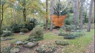 Herbstblatt 