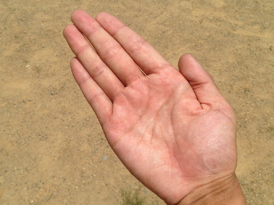 Die rechte Hand