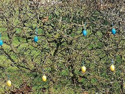 VorgartenEier