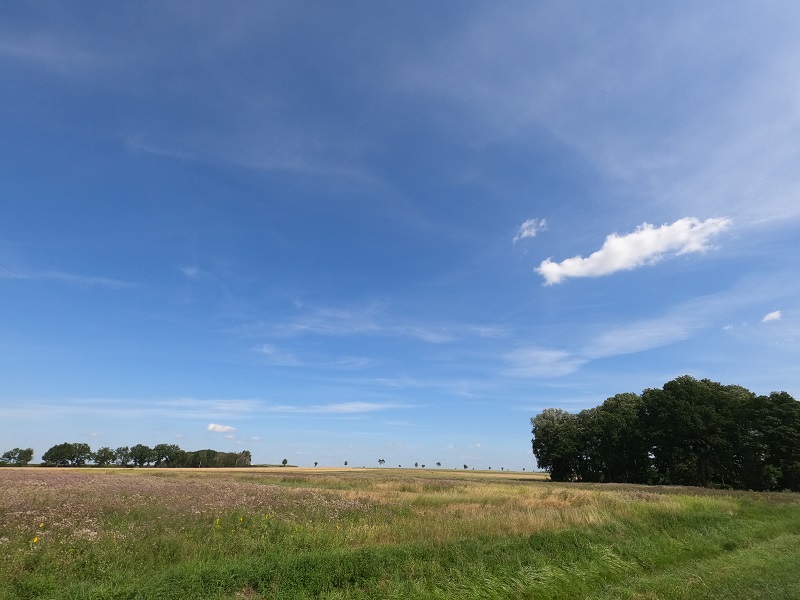 Landschaft1
