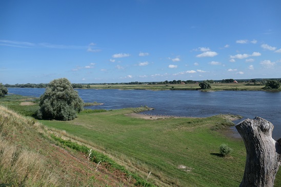 Elbe